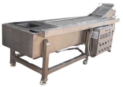 Continuous Fryer